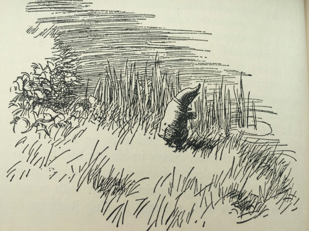 Mole from Wind in the Willows, illustration by Ernest Shepard