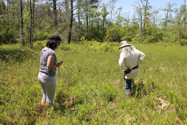 Sonia and Carolyn Walking Barefoot in the Bog