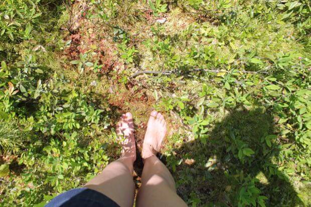 Walking Barefoot in Carolyn's Bog