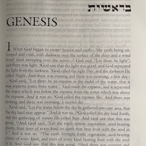 Genesis First Page