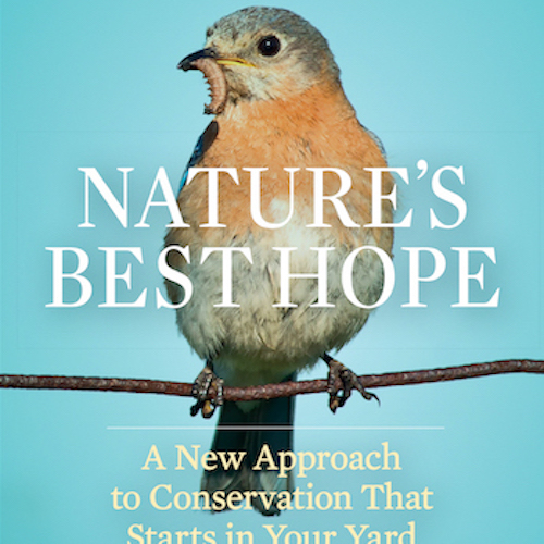 Nature's Best Hope, Doug Tallamy