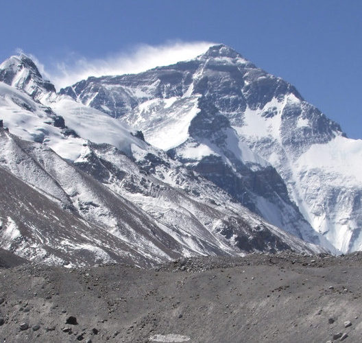 Cropped image from "Yaks prepared with loads at Everest Base Camp" by markhorrell is licensed under CC BY-NC-SA 2.0