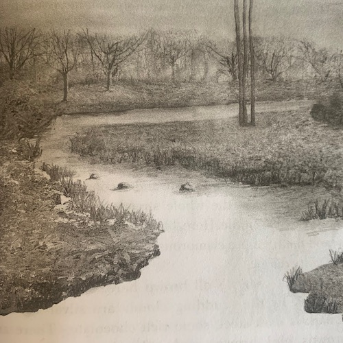 Nanny Hagen Brook in January, illustration by GG Kopilak from Woods and Water: Walking New York's Nanny Hagen Brook by Michael Ingles